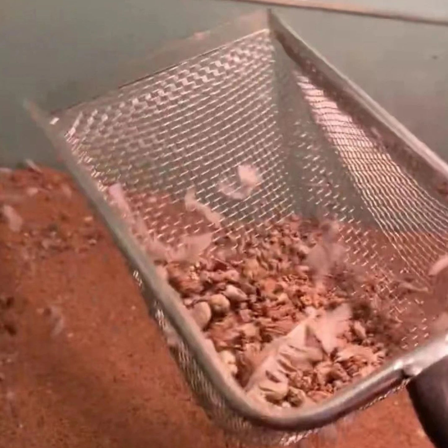 Pá Inox /Caixa de Areia