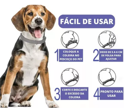 Colar Antipulgas