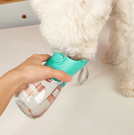 Bebedouro Portátil para Pets