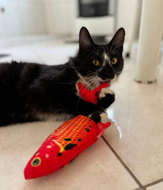 Brinquedo Peixe Elétrico