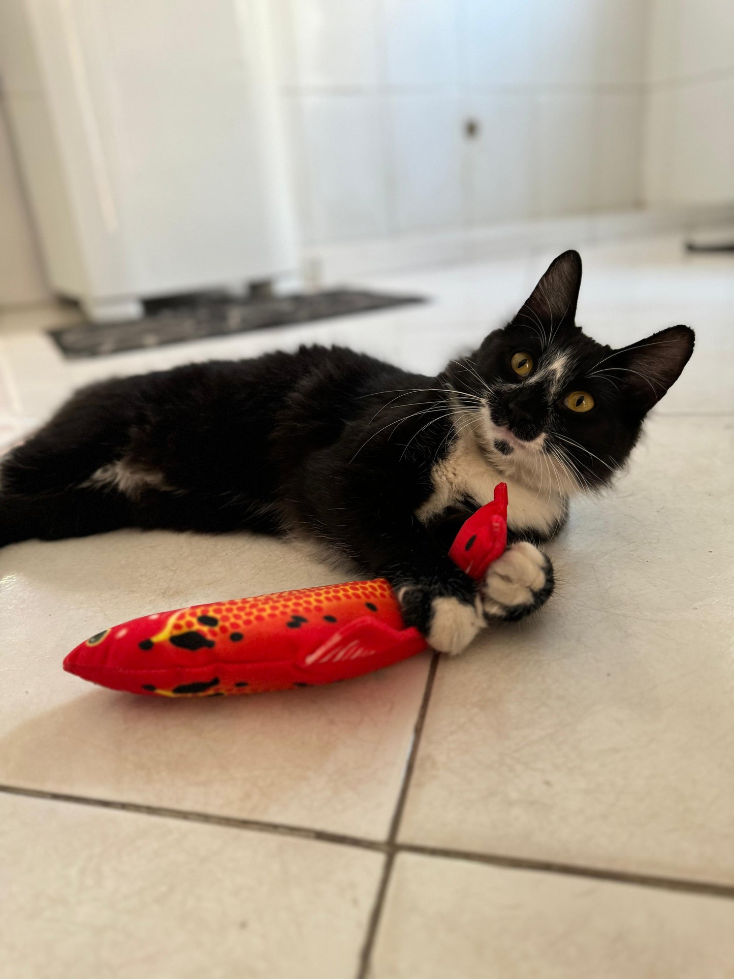 Brinquedo Peixe Elétrico