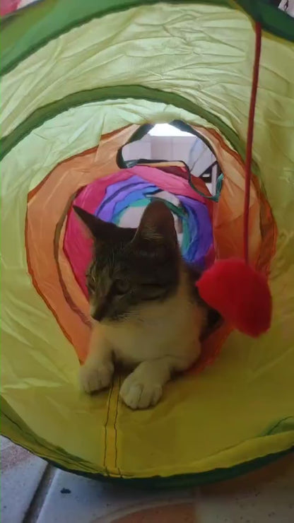 TúnelCat™ - Brinquedo interativo para Gatos