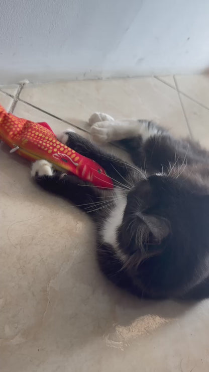 Brinquedo Peixe Elétrico